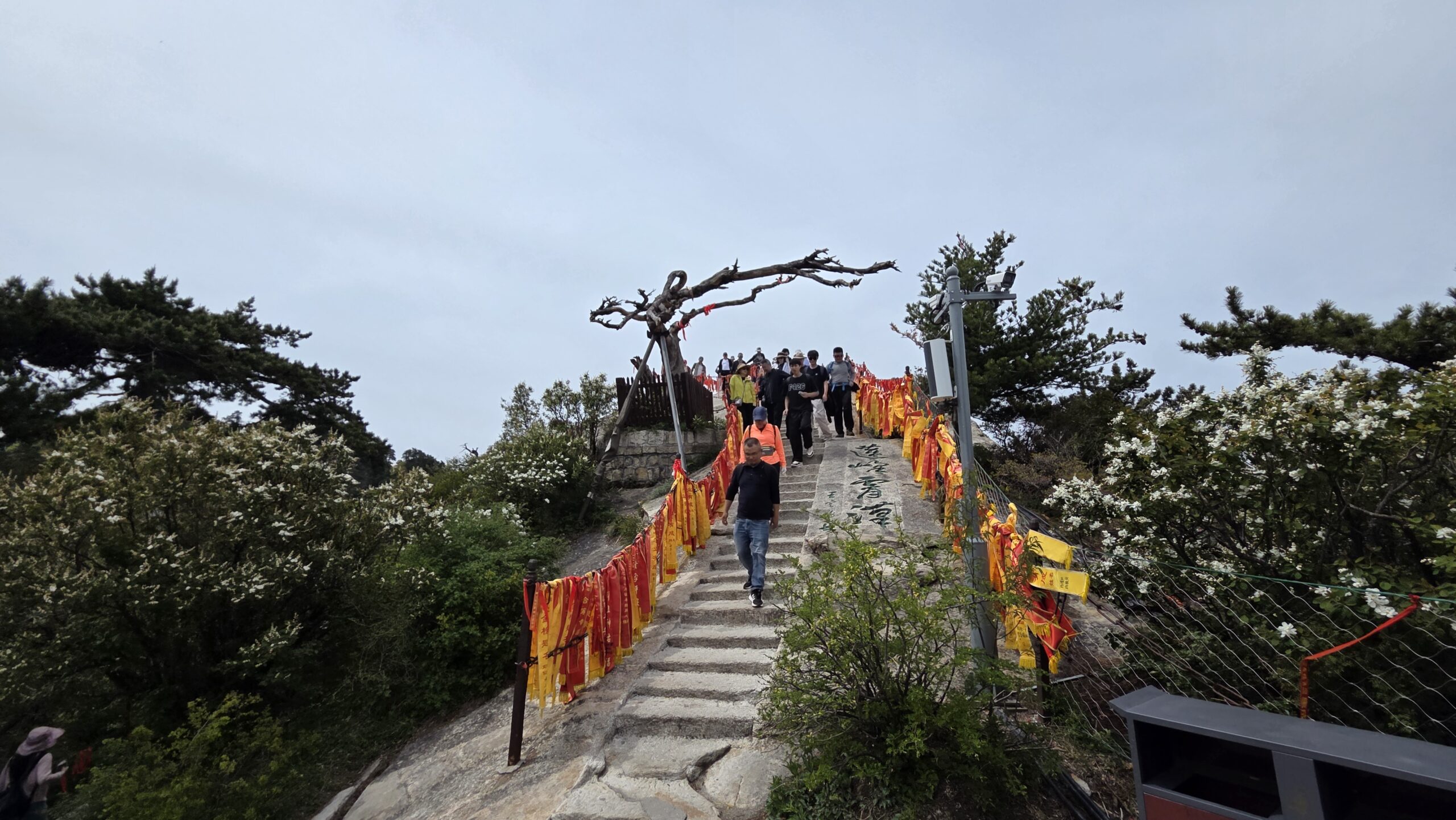 중국 명산 절경 트래킹